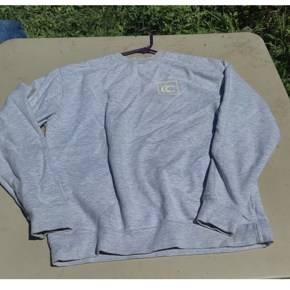 Independent Trading Co When I Close My Eyes Graphic Sweatshirt Gray Mens Large